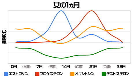 女性ホルモンのなせるワザ 女性の性格が月に４回変わる理由とは 後編 女磨き Tialeeray